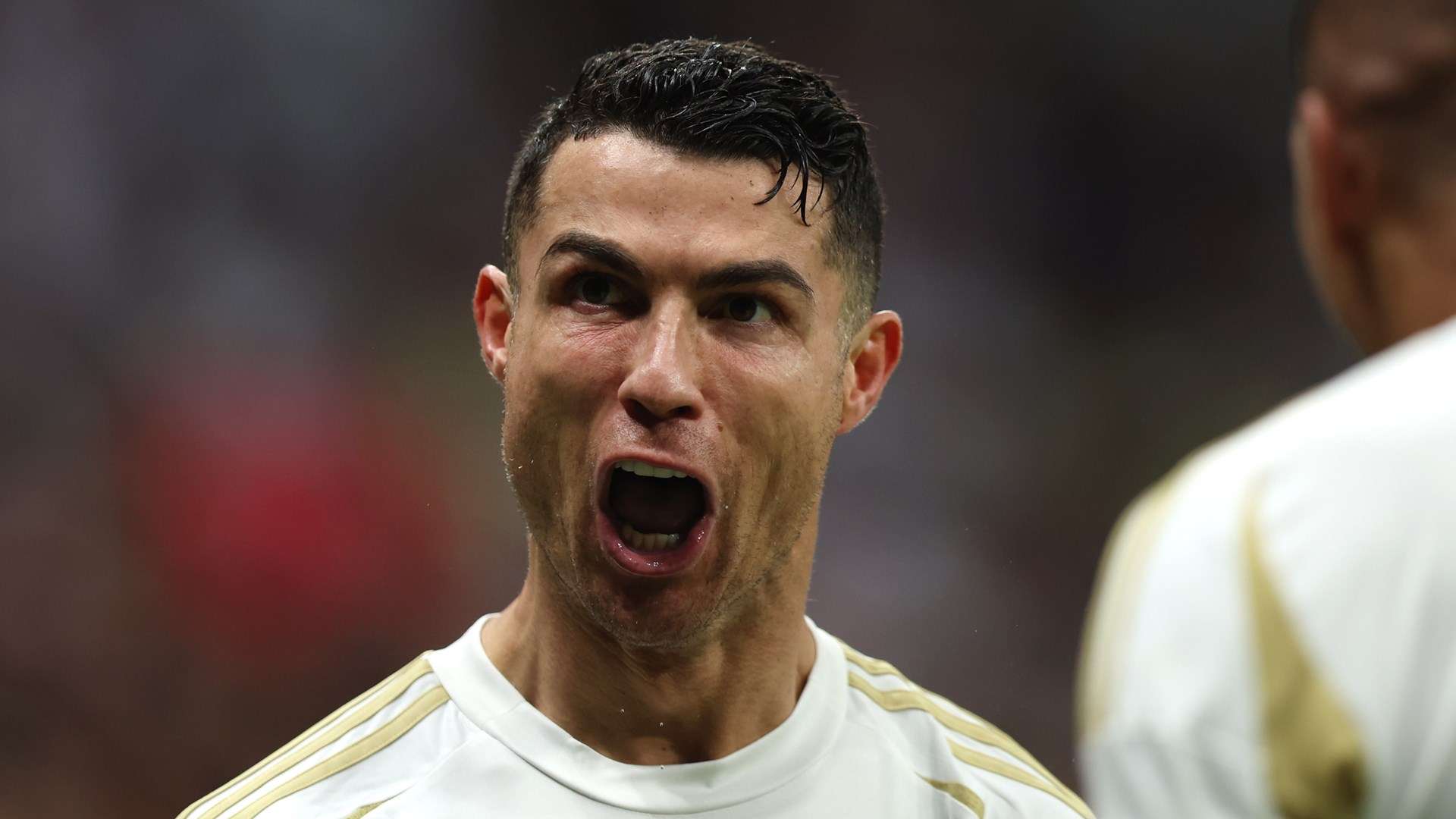 业生涯积累 业生涯积累