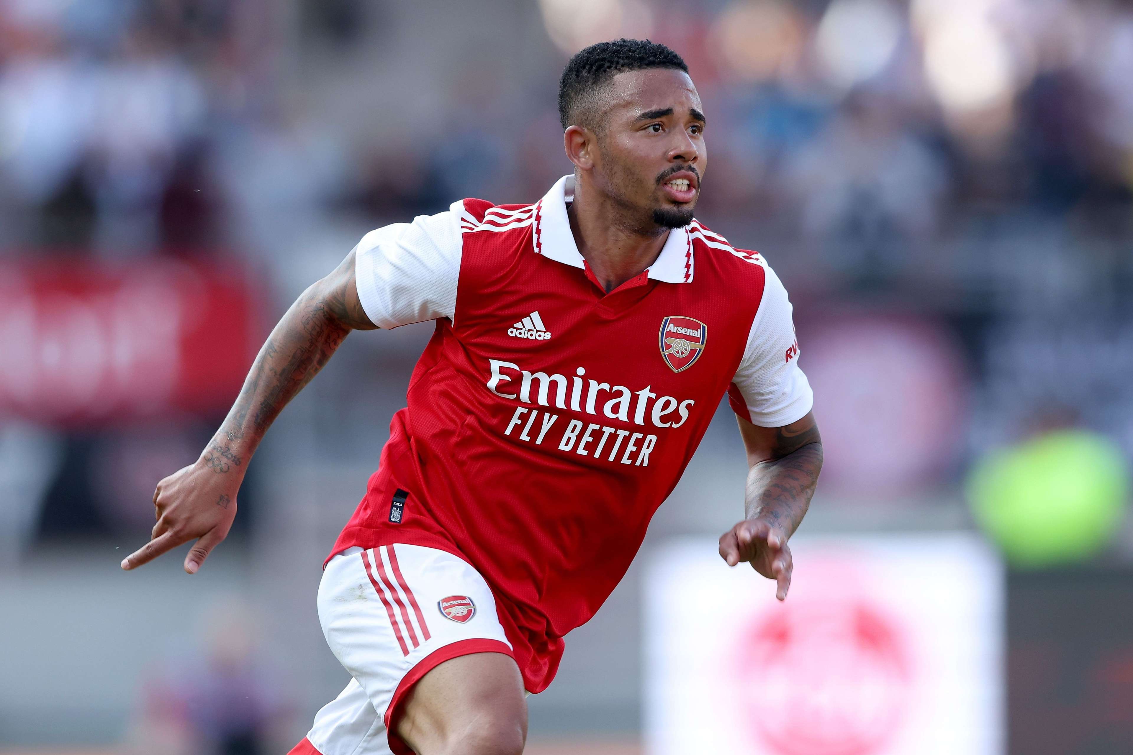 坎塞洛在租 坎塞洛在租