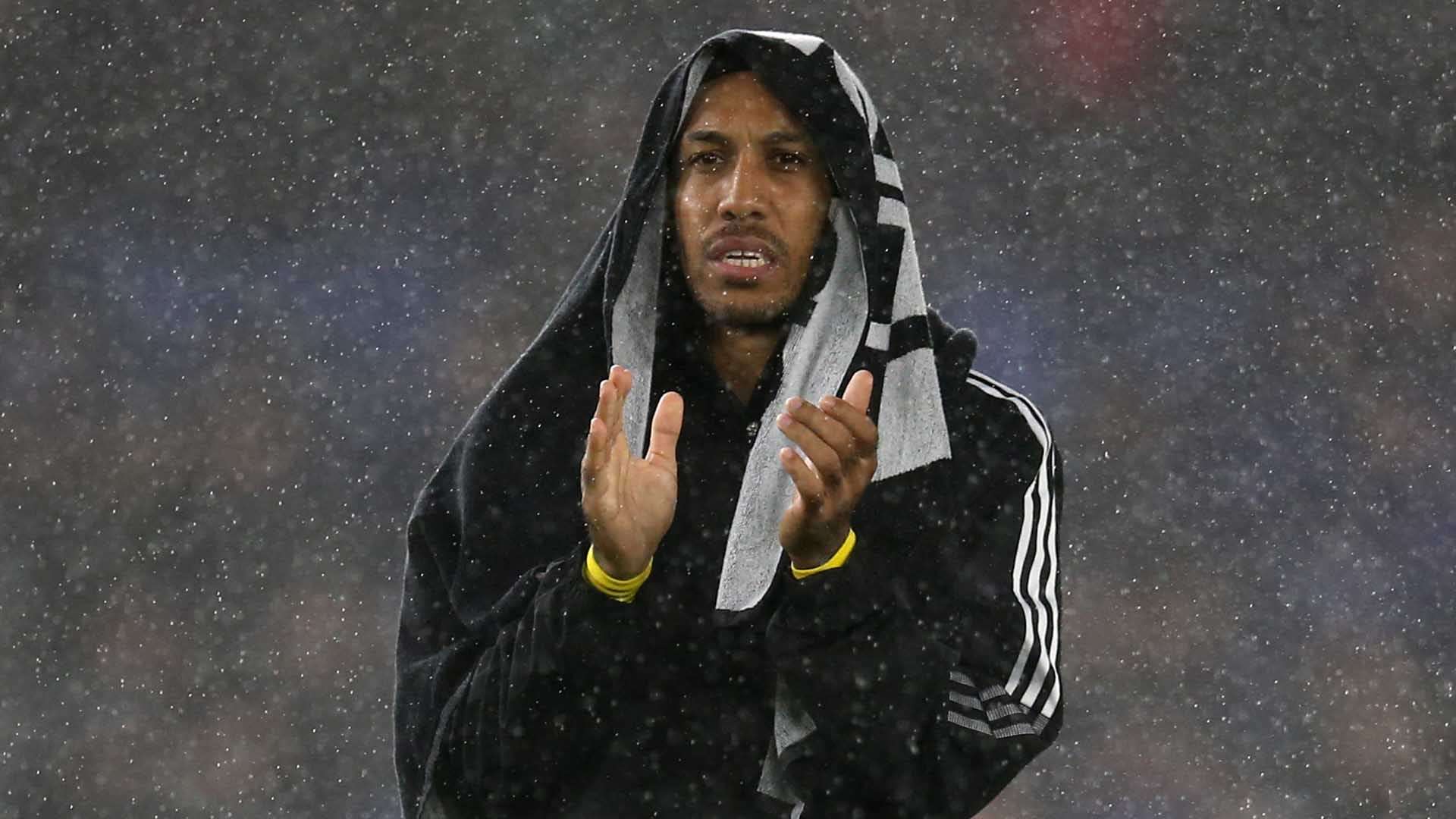 这条荣耀之 这条荣耀之